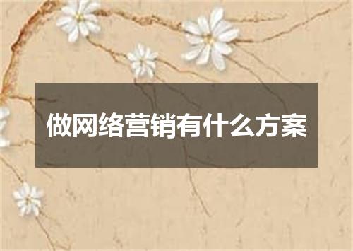做网络营销有什么方案
