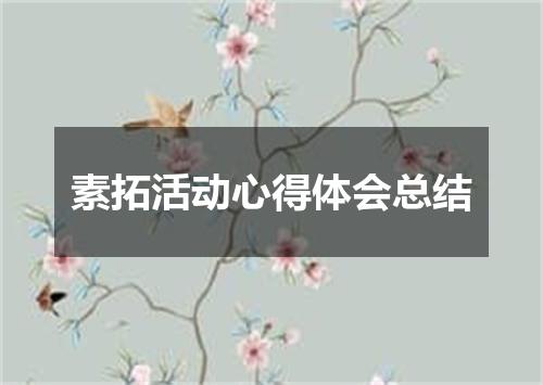 素拓活动心得体会总结