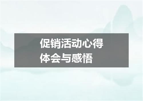 促销活动心得体会与感悟