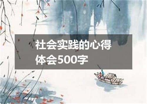 社会实践的心得体会500字