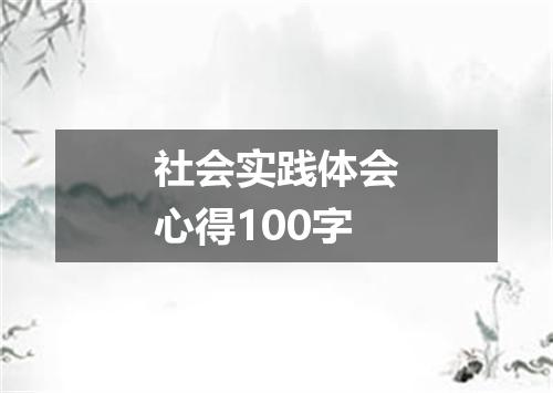 社会实践体会心得100字