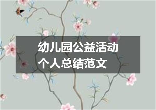 幼儿园公益活动个人总结范文