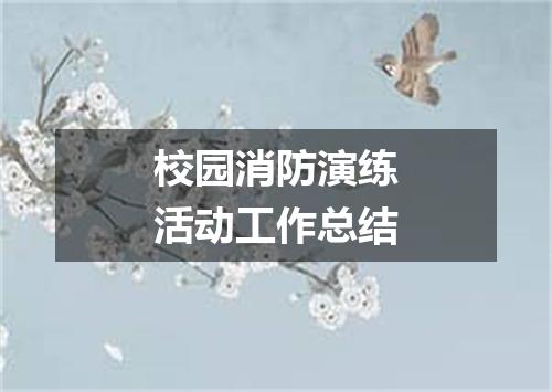 校园消防演练活动工作总结