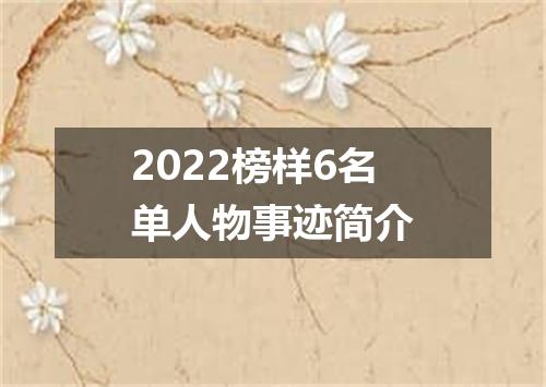 2022榜样6名单人物事迹简介