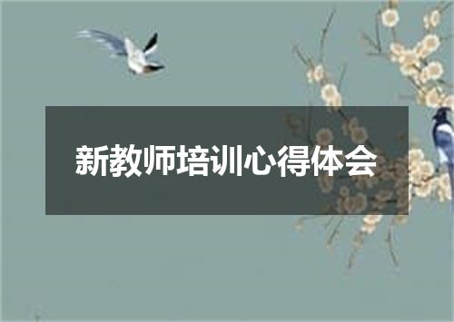 新教师培训心得体会