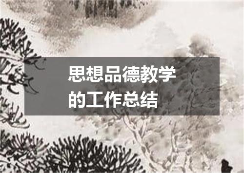 思想品德教学的工作总结