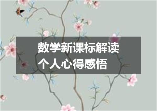 数学新课标解读个人心得感悟
