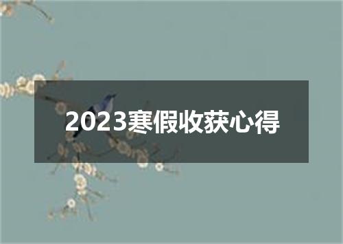 2023寒假收获心得