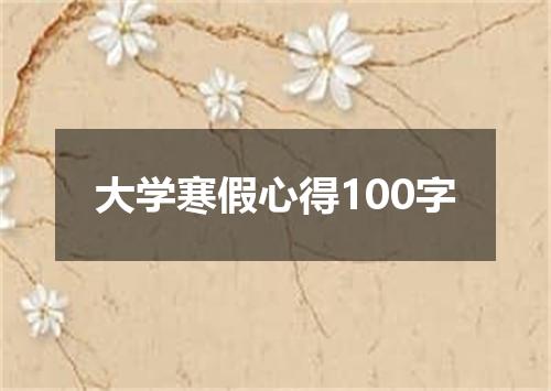 大学寒假心得100字