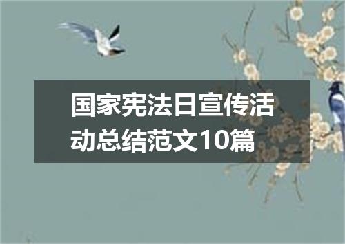 国家宪法日宣传活动总结范文10篇