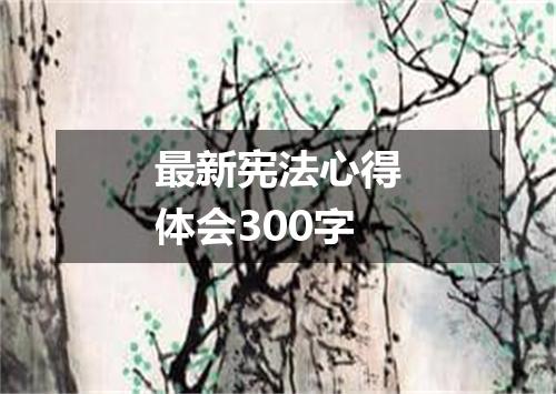 最新宪法心得体会300字