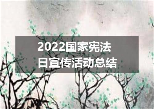 2022国家宪法日宣传活动总结
