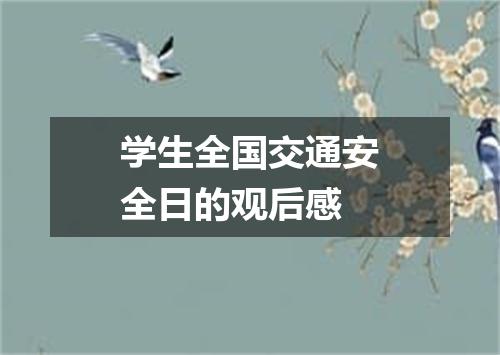 学生全国交通安全日的观后感