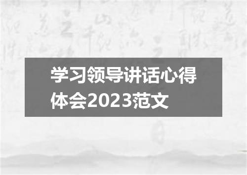 学习领导讲话心得体会2023范文