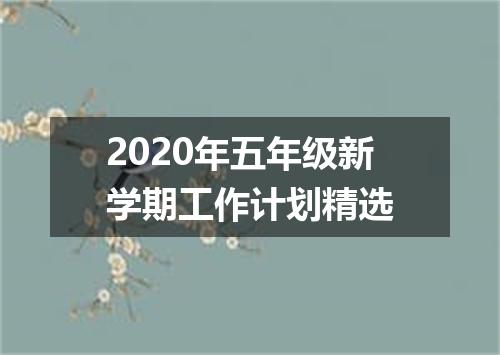 2020年五年级新学期工作计划精选