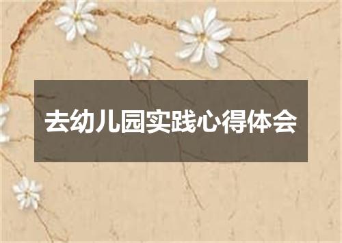 去幼儿园实践心得体会