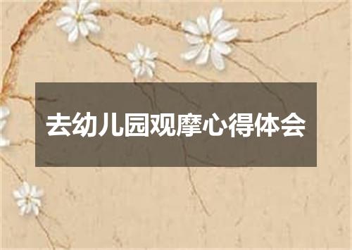 去幼儿园观摩心得体会