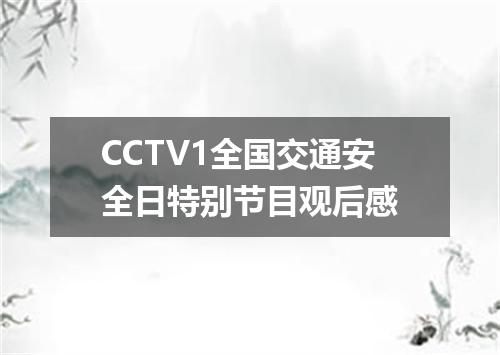 CCTV1全国交通安全日特别节目观后感