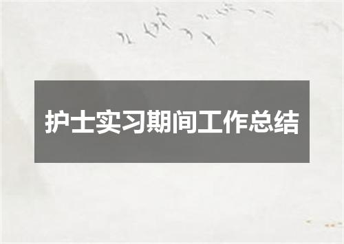 护士实习期间工作总结