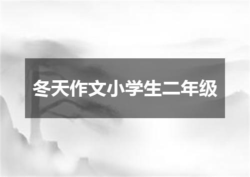冬天作文小学生二年级