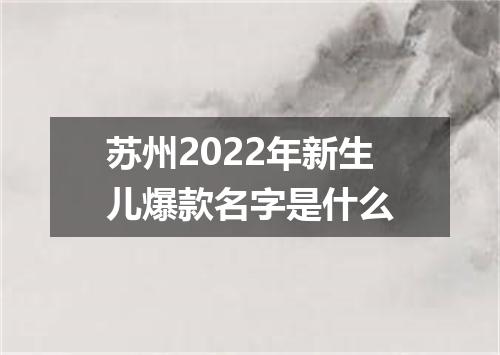 苏州2022年新生儿爆款名字是什么