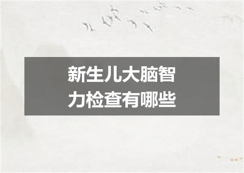 新生儿大脑智力检查有哪些