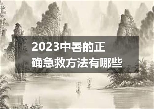 2023中暑的正确急救方法有哪些