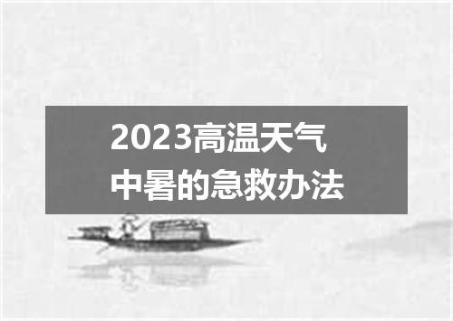 2023高温天气中暑的急救办法