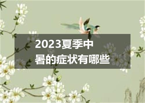 2023夏季中暑的症状有哪些