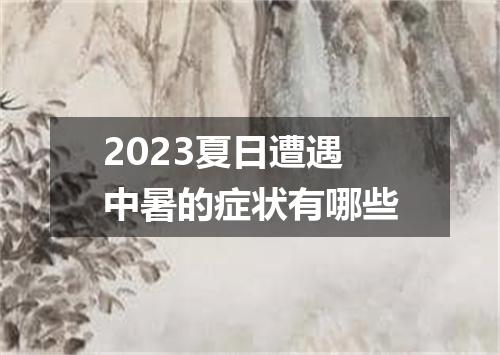 2023夏日遭遇中暑的症状有哪些