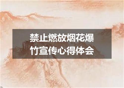 禁止燃放烟花爆竹宣传心得体会