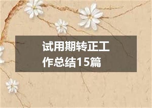 试用期转正工作总结15篇