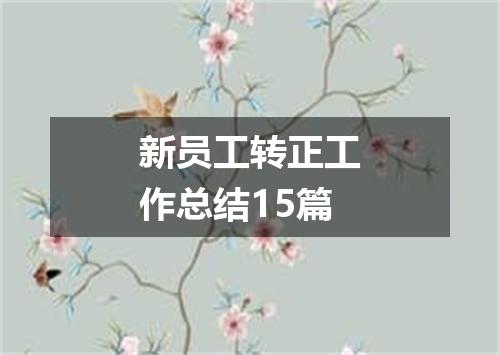 新员工转正工作总结15篇