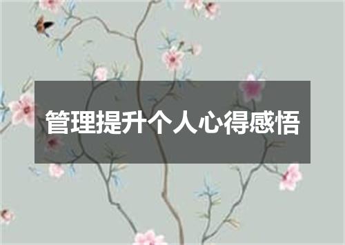 管理提升个人心得感悟