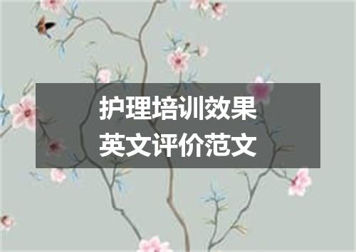 护理培训效果英文评价范文