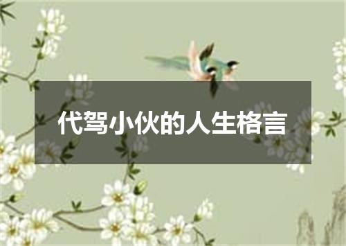 代驾小伙的人生格言