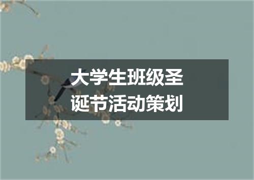 大学生班级圣诞节活动策划