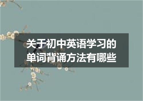 关于初中英语学习的单词背诵方法有哪些