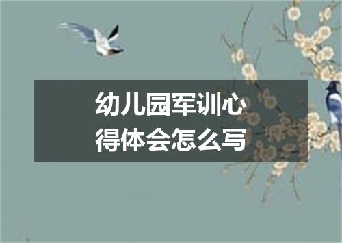 幼儿园军训心得体会怎么写