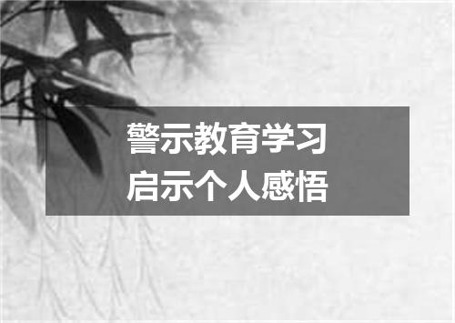 警示教育学习启示个人感悟
