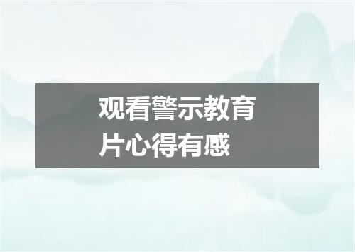 观看警示教育片心得有感
