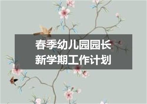春季幼儿园园长新学期工作计划