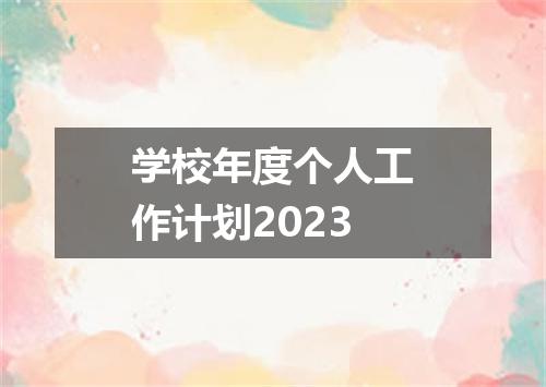 学校年度个人工作计划2023