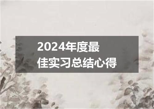 2024年度最佳实习总结心得