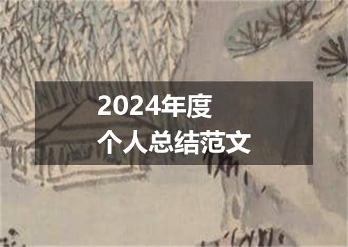 2024年度个人总结范文