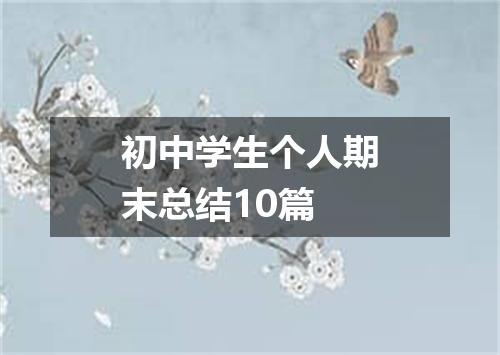 初中学生个人期末总结10篇