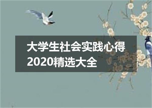 大学生社会实践心得2020精选大全