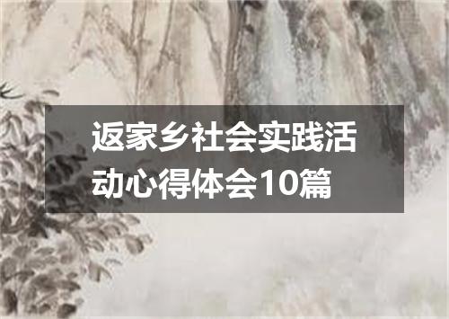 返家乡社会实践活动心得体会10篇