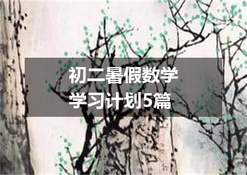 初二暑假数学学习计划5篇