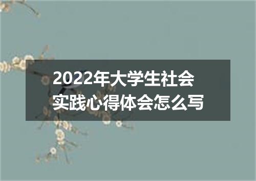 2022年大学生社会实践心得体会怎么写